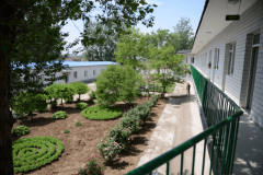 <strong>可处置日常轻症取健康监测</strong>